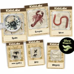 4m Enfants | - Découverte de la science - kit des insectes rampants