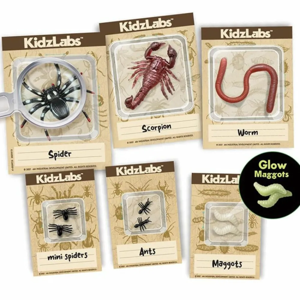4m Enfants | - Découverte de la science - kit des insectes rampants