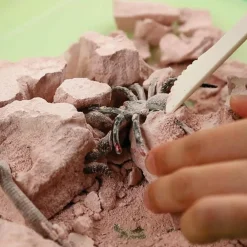 4m Enfants | - Découverte de la science - kit des insectes rampants