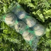 Mes Courses En Vrac Oiseaux Du Jardin | - Boules de graisse pour oiseaux - lot de 6