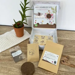Mes Courses En Vrac - Cultivea diy bombes de graines semis de fleurs à planter pour abeilles Best
