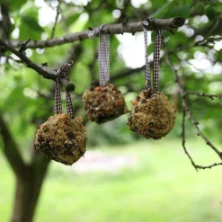 Mes Courses En Vrac Oiseaux Du Jardin | - Diy - mangeoire pomme de pin à fabriquer