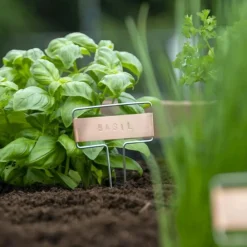 Mes Courses En Vrac Décoration Créative | - Kit de poinçons pour étiquette de plantes
