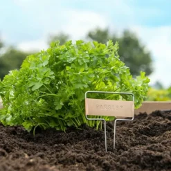 Mes Courses En Vrac Décoration Créative | - Kit de poinçons pour étiquette de plantes