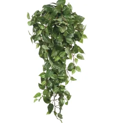 MICA - Chute de scindapsus, vert L. 80 x l. 30 x H. 15 cm Online
