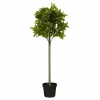 Mica Decorations - - laurier arbre artificiel vert h120 Clearance