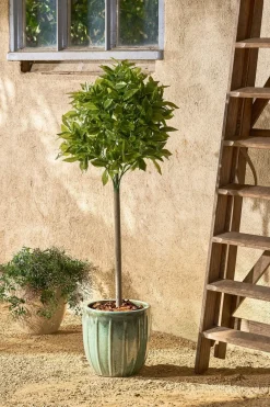 Mica Decorations - - laurier arbre artificiel vert h120 Clearance