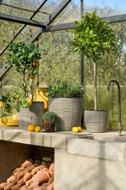 Mica Decorations - - laurier arbre artificiel vert h120 Clearance