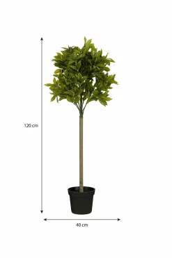 Mica Decorations - - laurier arbre artificiel vert h120 Clearance