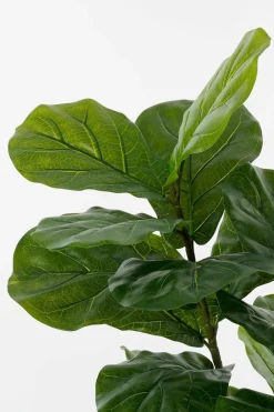 Mica Decorations - - ficus lyrata plante artificielle vert h150
