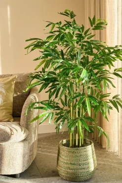 Mica Decorations Fleurs Et Plantes Artificielles | - - bambou plante artificielle vert h150