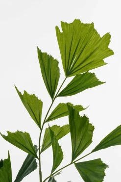 Mica Decorations Fleurs Et Plantes Artificielles | - - palmier queue-de-poisson plante artificielle vert h150