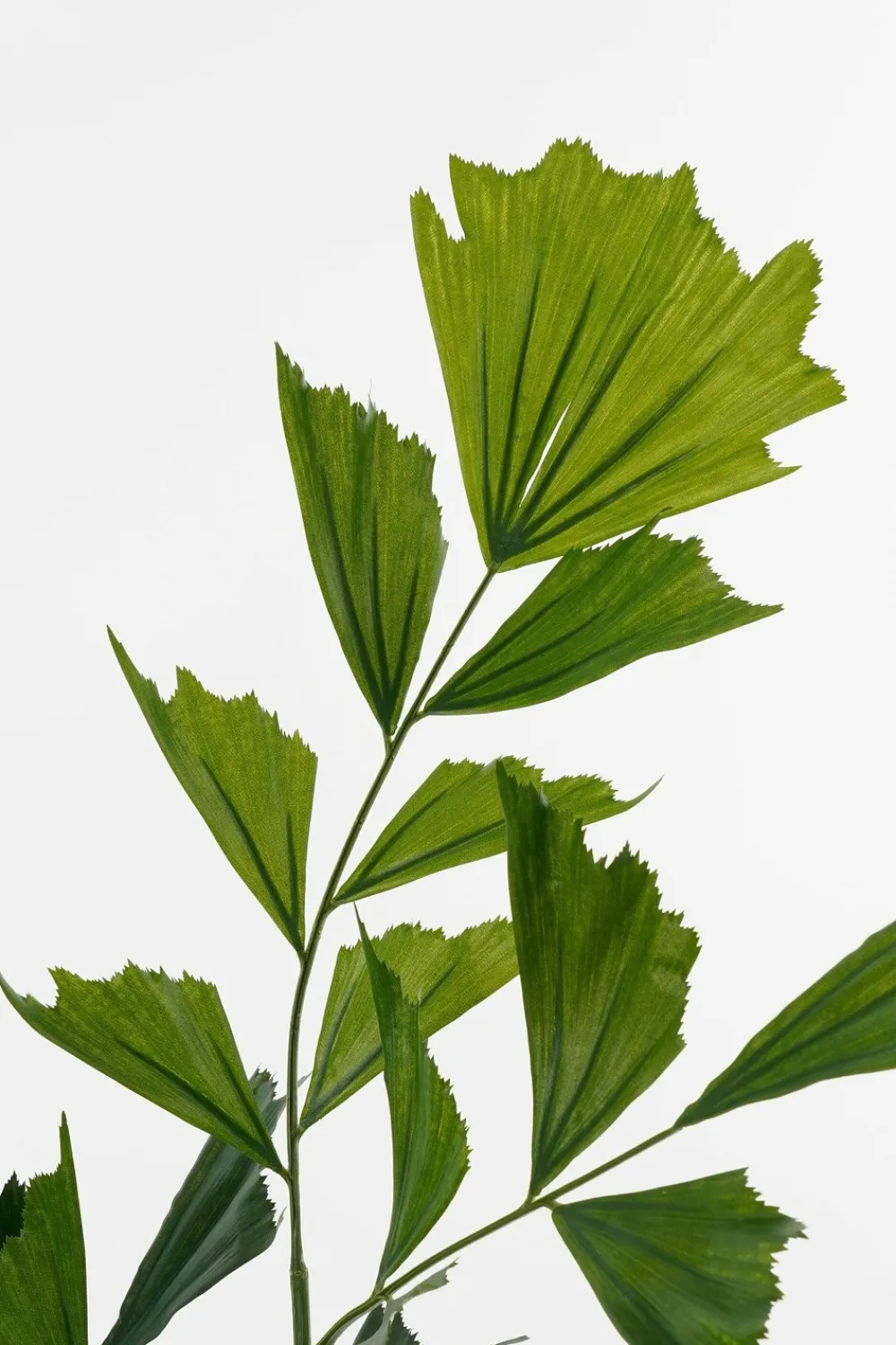 Mica Decorations Fleurs Et Plantes Artificielles | - - palmier queue-de-poisson plante artificielle vert h150