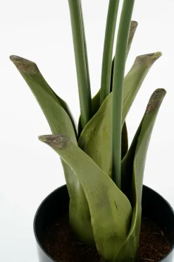 Mica Decorations Fleurs Et Plantes Artificielles | - - palmier queue-de-poisson plante artificielle vert h150