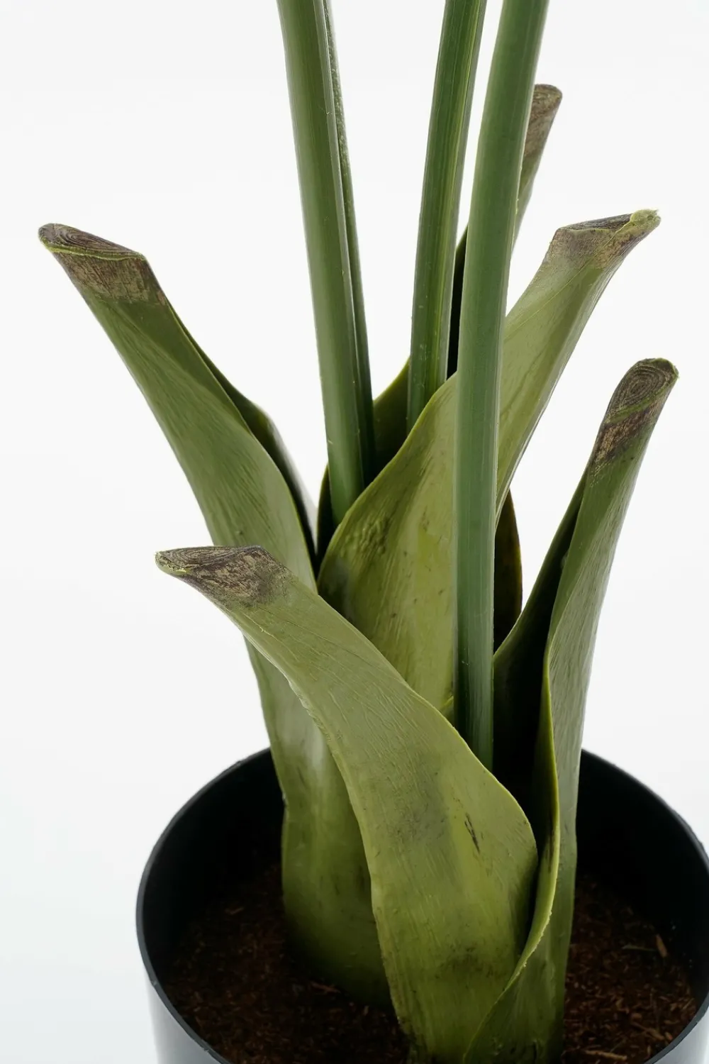 Mica Decorations Fleurs Et Plantes Artificielles | - - palmier queue-de-poisson plante artificielle vert h150