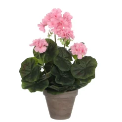 MICA - Geranium en pot Ø 11,5 cm, rose Ø 23 x H. 32 cm Hot