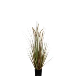 MICA Fleurs Et Plantes Artificielles | - Herbe panache dogtail en pot, vert H. 120 cm