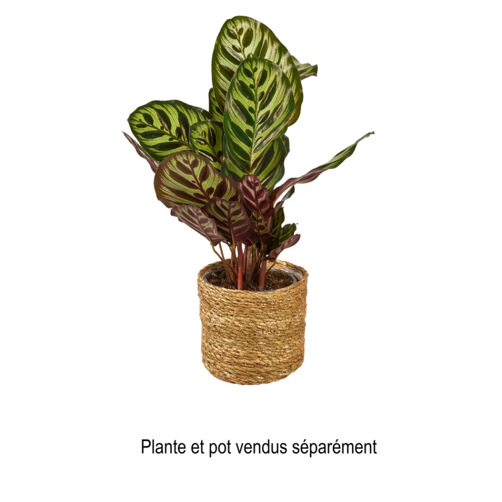 MICA - Panier Atlantic Marron H12xD12 cm Hot