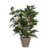 MICA Fleurs Et Plantes Artificielles | - Plante artificielle : Pot Ficus Natasja D.11 x H.40 cm
