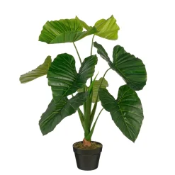MICA Fleurs Et Plantes Artificielles | - Plante artificielle taro, coloris vert - H.90xD.60cm