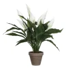 MICA - Spathiphyllum artificiel blanc Ø 40 x H. 50 cm, en pot Ø 11,5 cm Discount