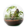 NA Mini Monde L Mix Outlet