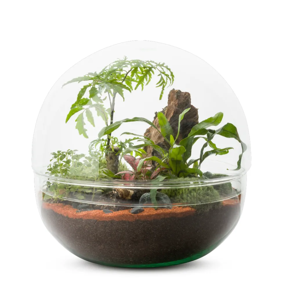 NA Mini Monde L Mix Outlet
