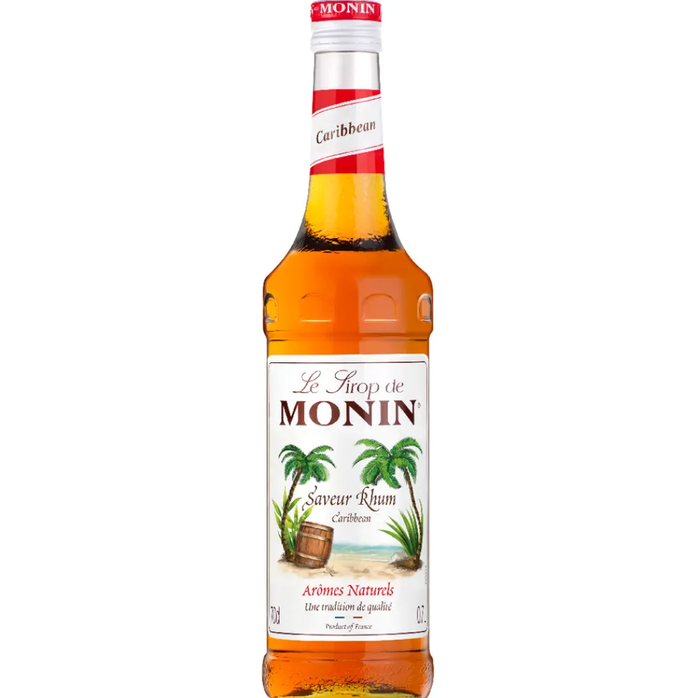 Monin - Sirop , 70cl - Rhum Outlet