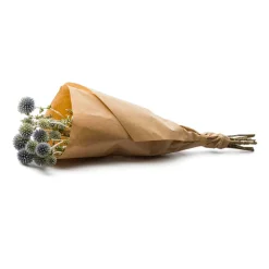 Naturalys Bouquets De Fleurs | - Botte de fleurs séchées : Echinops bleu - H.50cm