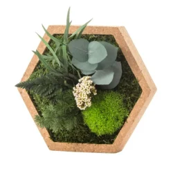 Naturalys Terrariums Et Compositions | - Stab nature hexagonal s 16 x 16 cm
