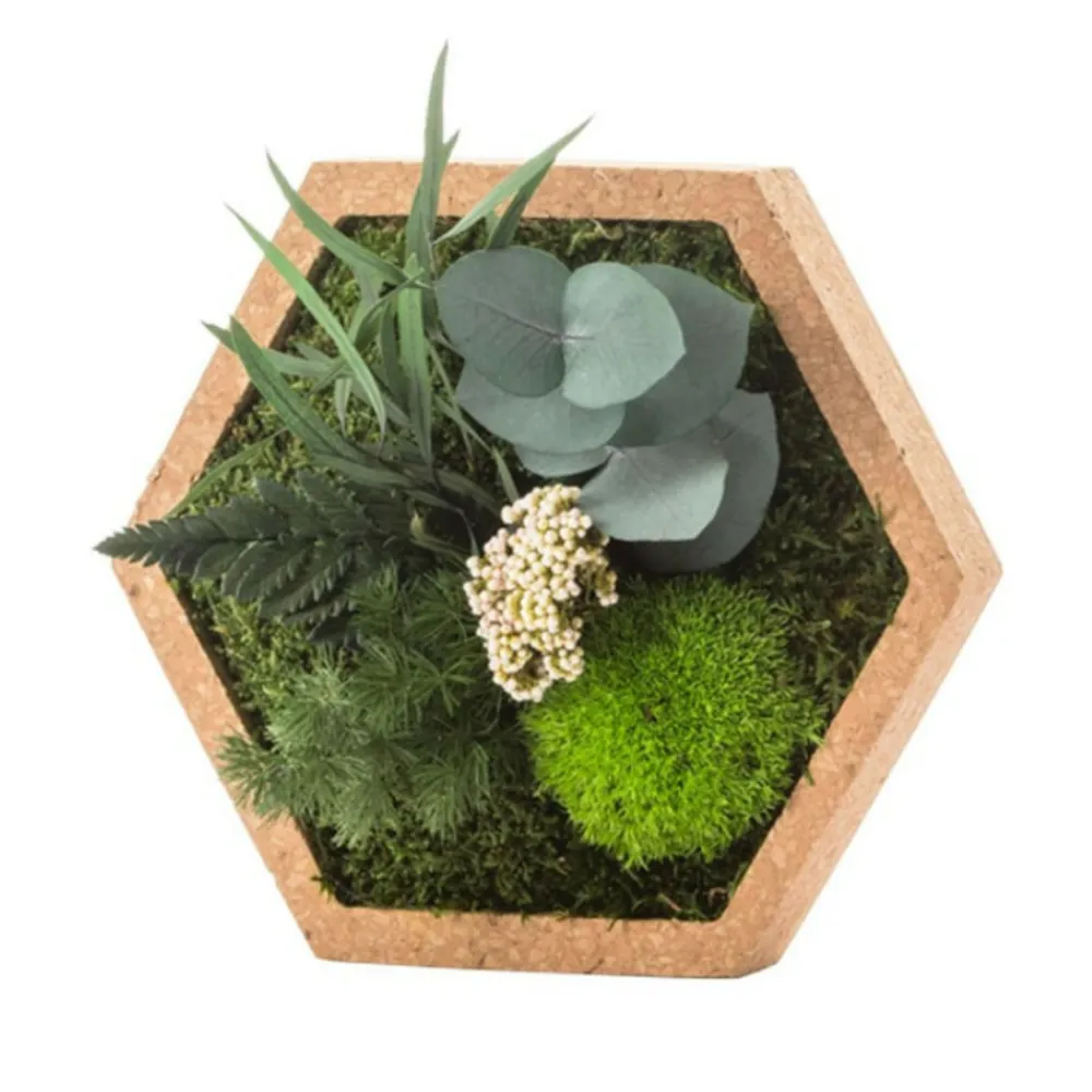 Naturalys Terrariums Et Compositions | - Stab nature hexagonal s 16 x 16 cm