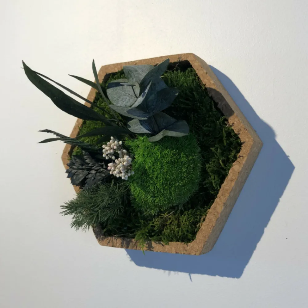 Naturalys Terrariums Et Compositions | - Stab nature hexagonal s 16 x 16 cm