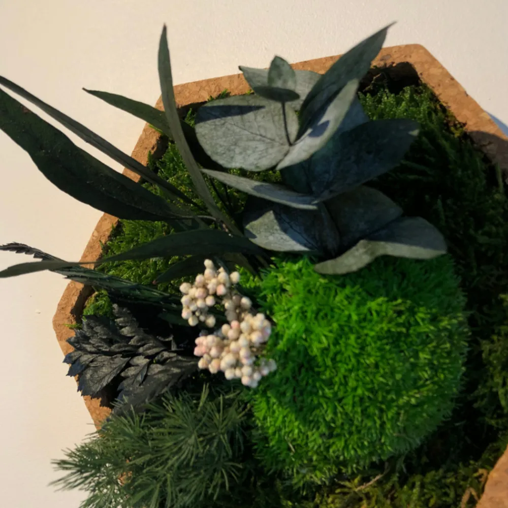 Naturalys Terrariums Et Compositions | - Stab nature hexagonal s 16 x 16 cm
