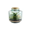 Naturalys - Terrarium 'Napoli' M : D.23cm - H.25cm Outlet