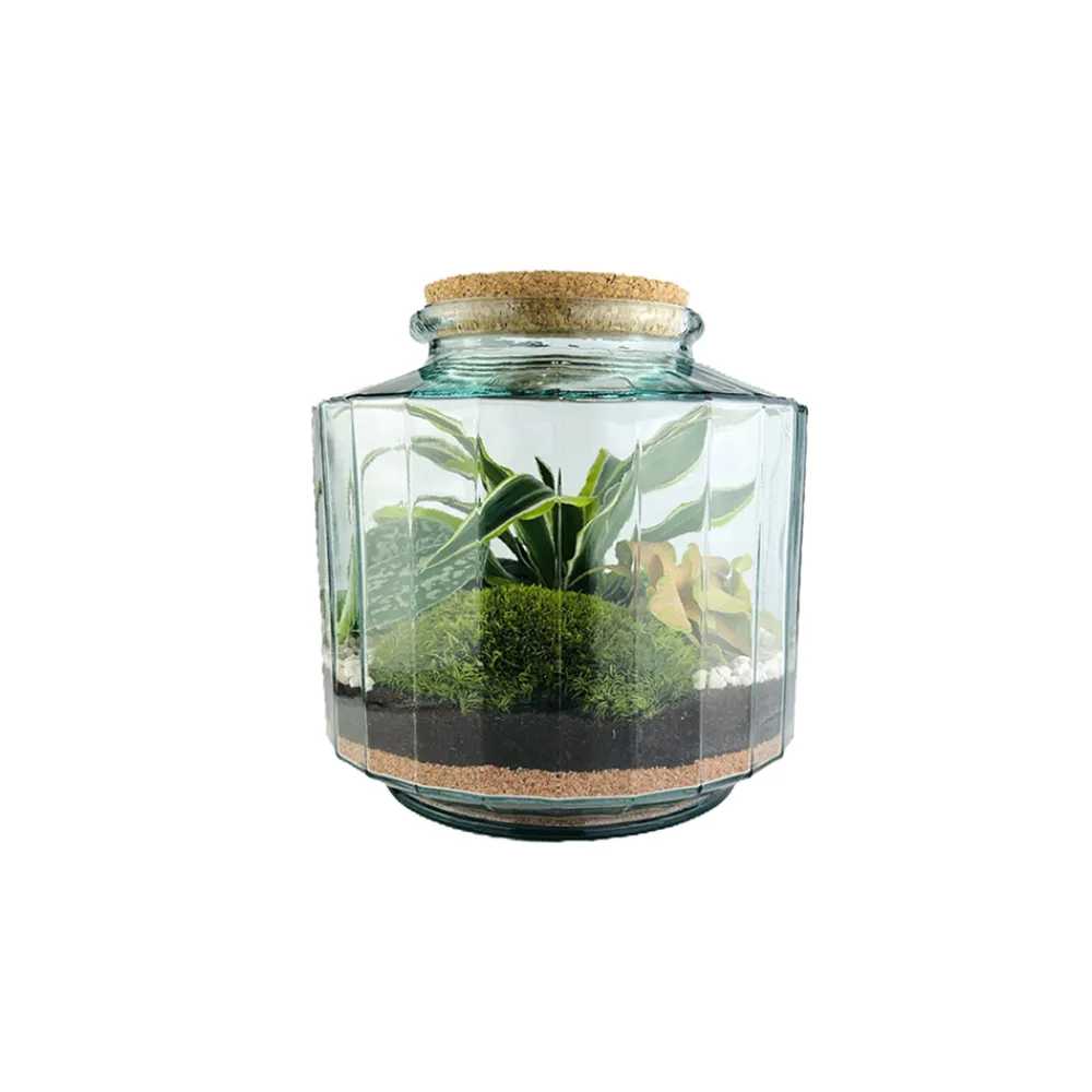 Naturalys - Terrarium 'Napoli' M : D.23cm - H.25cm Outlet