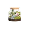Naturalys Terrariums Et Compositions | - Terrarium végétal d'intérieur, Mia Classic taille L : Mix H.40cm