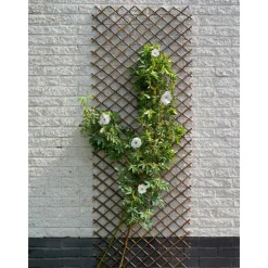 Nature Brise-Vues, Bordures Et Dallages | - Treillis extensible osier L30 x H180 cm