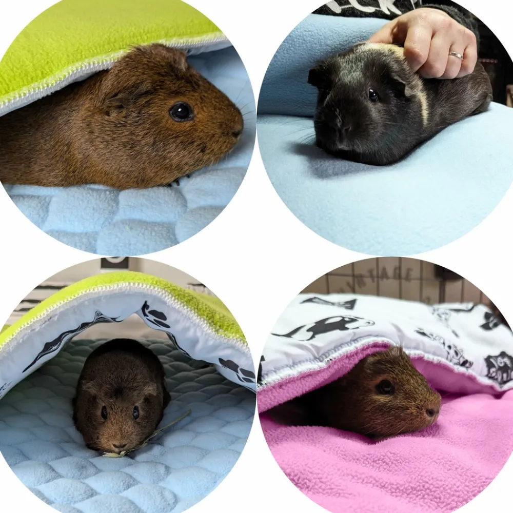 Neo Solvo Hygiène Et Soins | - Lot de 2 - tapis pour cochon d'inde et lapin en polaire 70 x 35 cm - polaire absorbant, lavable en machine, economique