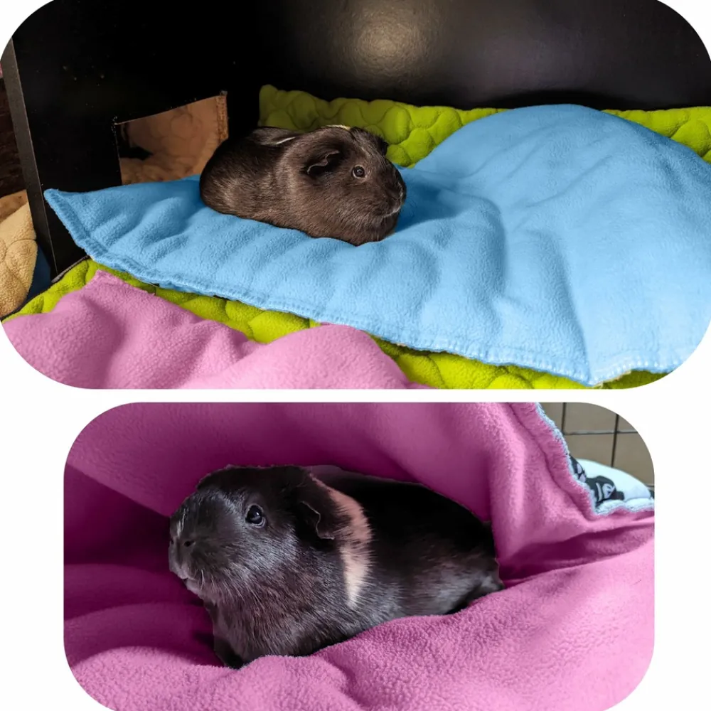 Neo Solvo Hygiène Et Soins | - Lot de 2 - tapis pour cochon d'inde et lapin en polaire 70 x 35 cm - polaire absorbant, lavable en machine, economique