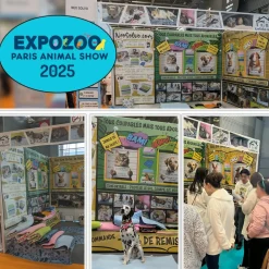 Neo Solvo Hygiène Et Soins | - Lot de 4 - tapis qui remplace la litière pour cochon d'inde et lapin - absorbant, imperméable, passe en machine 105 x 105 cm