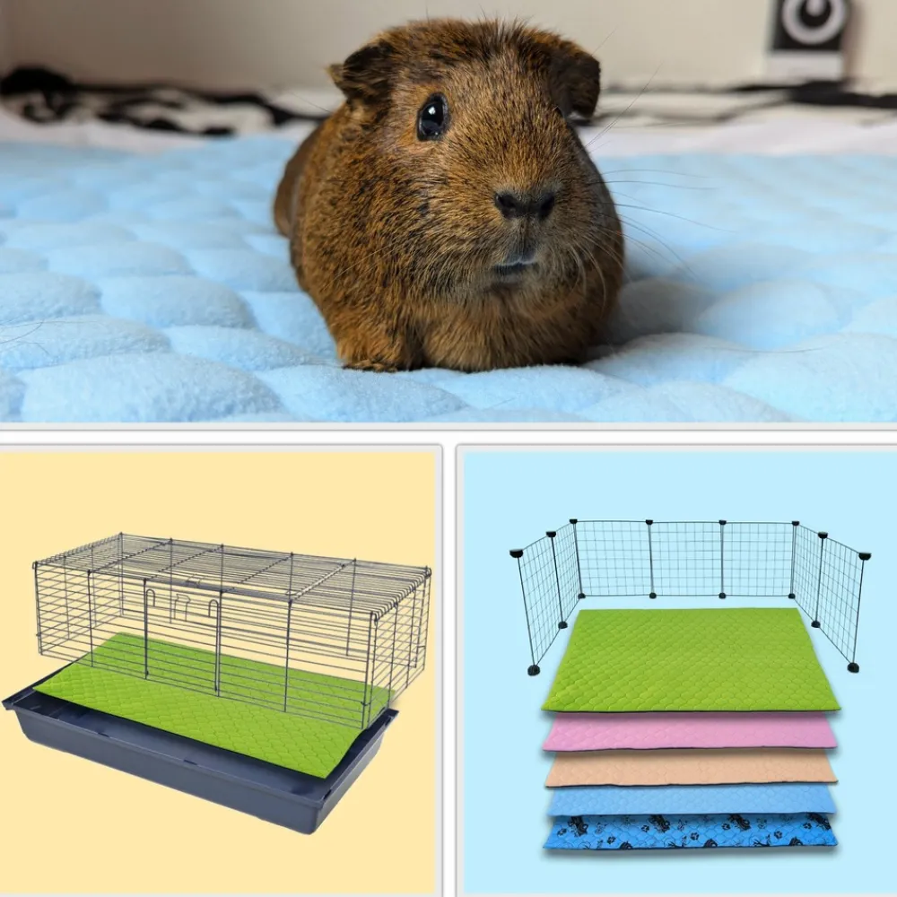 Neo Solvo - Tapis qui remplace la litière pour cochon d'inde et lapin - absorbant, imperméable, passe en machine - 70 x 35 cm Hot
