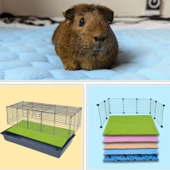 Neo Solvo Hygiène Et Soins | - Tapis qui remplace la litière pour cochon d'inde et lapin - absorbant, imperméable, passe en machine - 70 x 35 cm