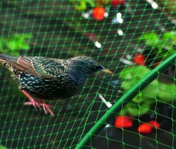 Nortene Traitement Et Pulvérisation | - Filet de protection oiseaux "birdnet" - 1 x 10 m - noir