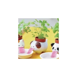 Noted Plants De Légumes Et Aromatiques | - Pot trèfle à 4 feuilles peropon chien