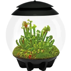 NA Terrariums, Vivariums Et Accessoires | Oase terrarium automatisé noir - air 30 black