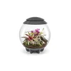 NA Oase terrarium décoratif 60l avec cadre gris - air 60 grey