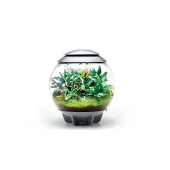 NA Oase terrarium décoratif 60l avec cadre gris - air 60 grey