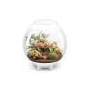 NA Oase terrarium décoratif 60l avec cadre blanc - air 60 white Discount