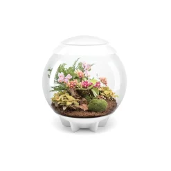 NA Oase terrarium décoratif 60l avec cadre blanc - air 60 white Discount