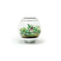 NA Oase terrarium décoratif 60l avec cadre blanc - air 60 white Discount